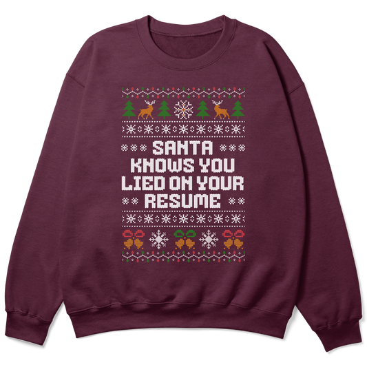 Funny Office Christmas Sweatshirt - Santa Knows You Lied on Your Resume