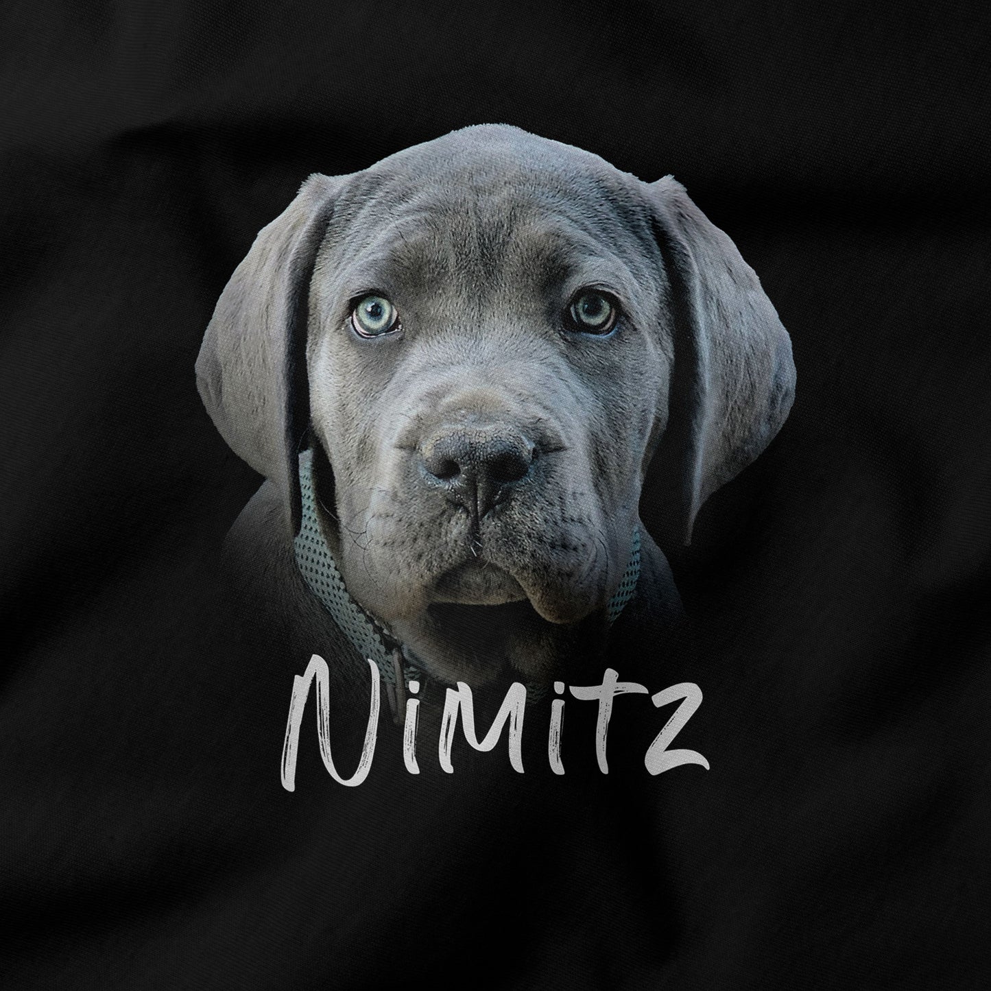 Custom Pet Portrait Shirt