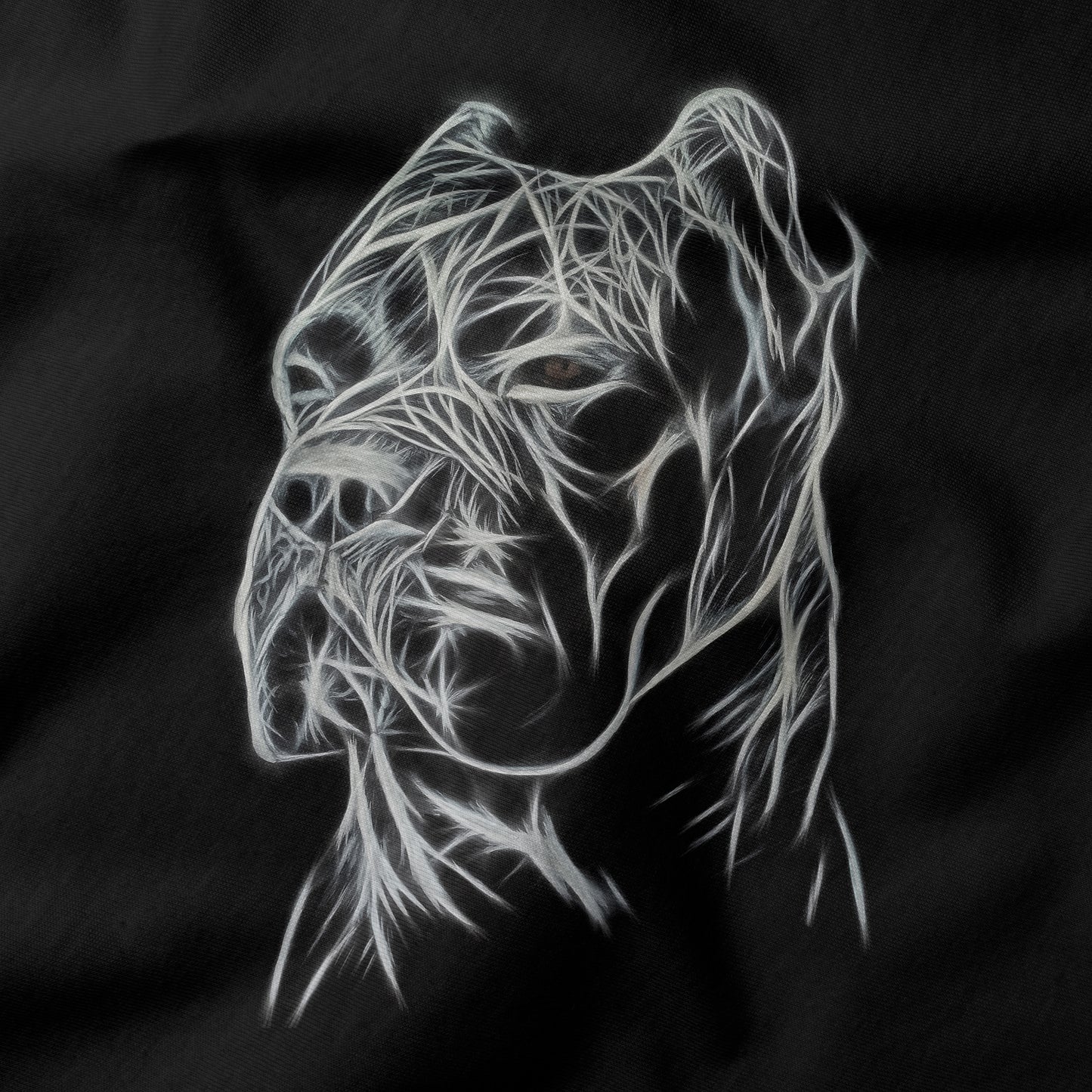 Personalized Cane Corso Shirt & Sweatshirt